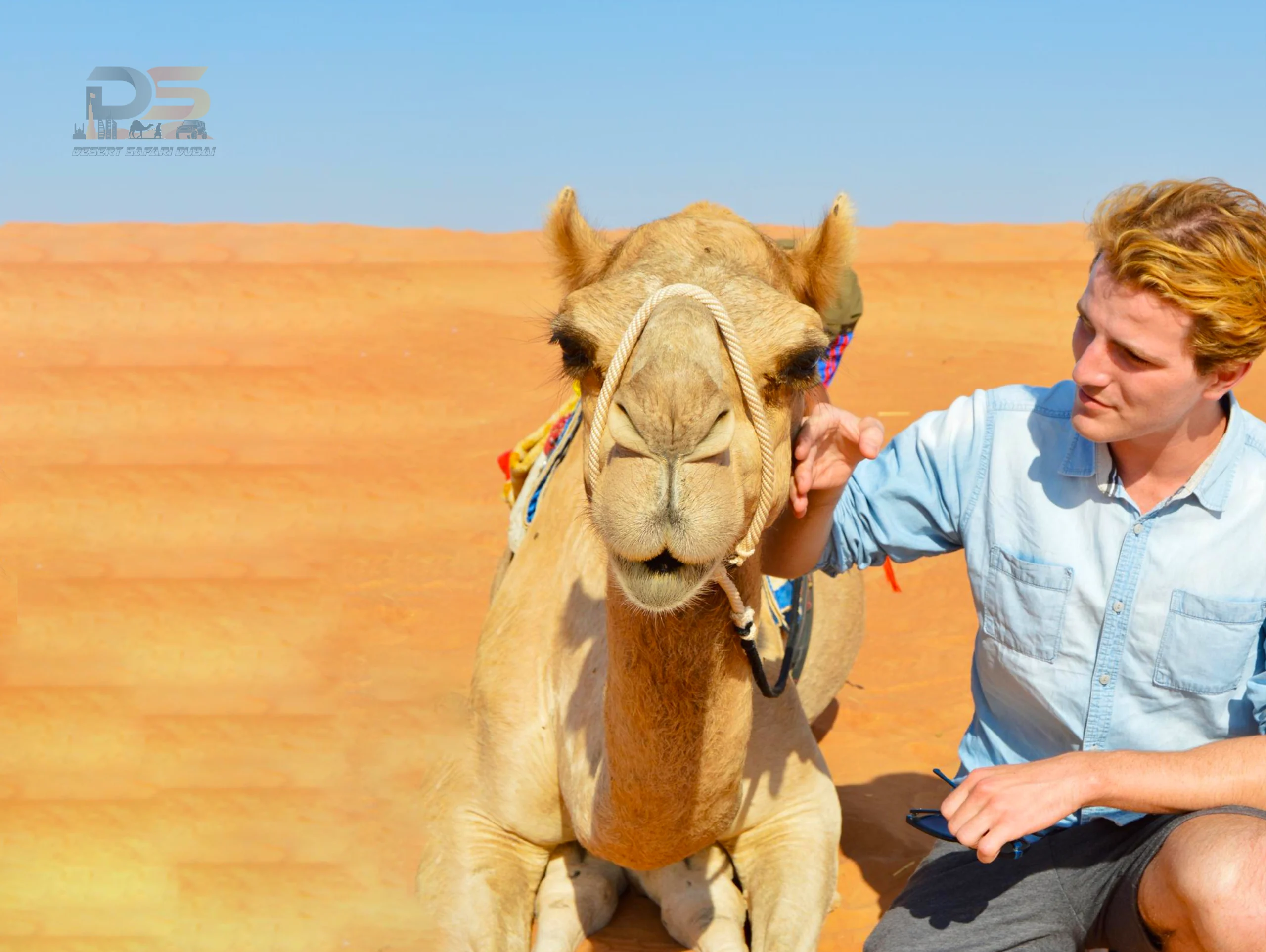 direct desert camp safari